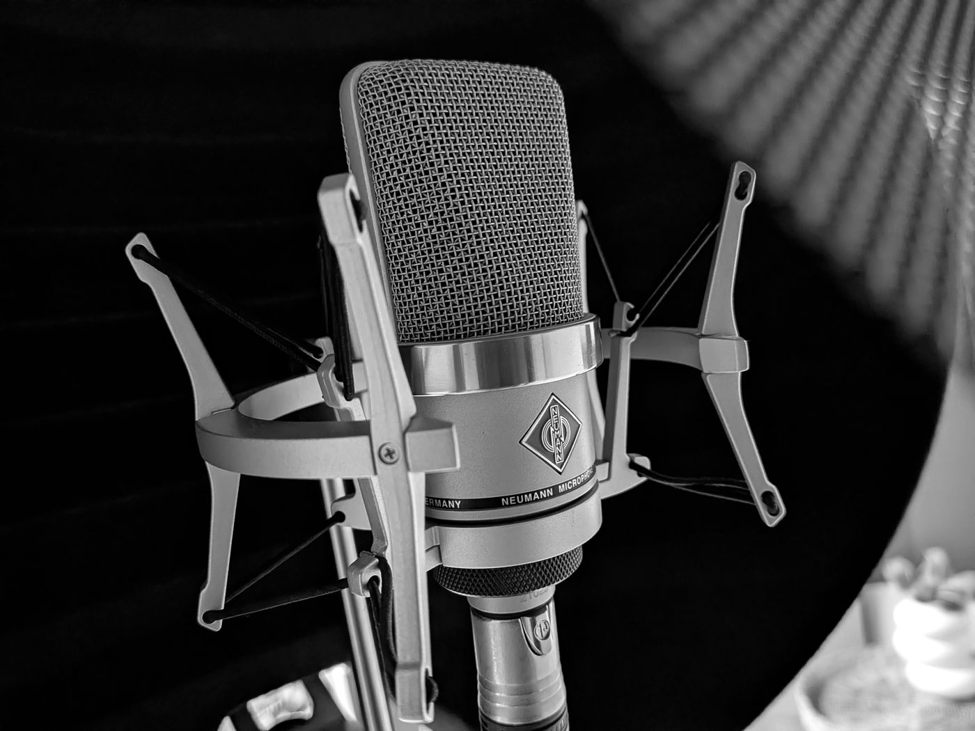 Neumann TLM 102 in der Spinne vor dem Reflexionsfilter